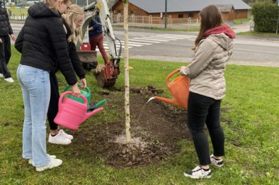 Pflanze einen Baum…